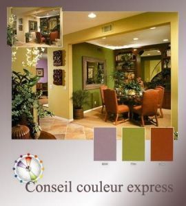 Cette palette est dite complémentaire adjacente. Elle trouve son équilibre dans le faible contraste des couleurs analogues, rehaussée d’une pointe de la couleur opposée.