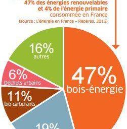 bois_bio_energie_majeure