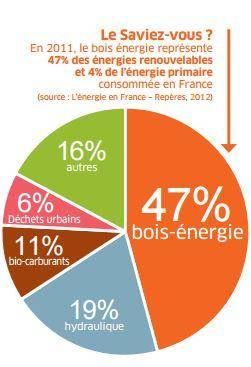 bois_bio_energie_majeure