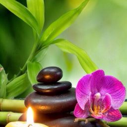 recette pour une ambiance zen : Le style Zen permet de se plonger dans une atmosphère apaisante et accueillante. Cette ambiance « paix et sérénité » c’est le style zen qui signifie méditation et qui dans votre intérieur évoquera l’équilibre, l’harmonie, le délassement.