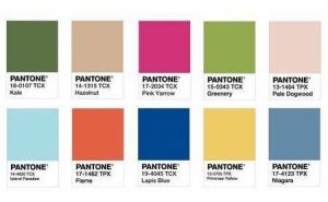 couleur-de-l-anne2017-pantone2