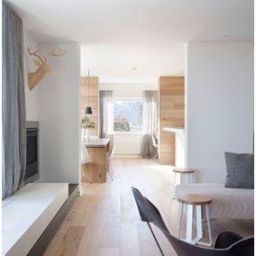 Le bois est omniprésent dans le style scandinave, à commencer par la structure de la maison elle même, les formes sont simples et les teintes claires, les meubles recherchent l’ergonomie, les fonctionnalités et le coté pratique. Les tapis moelleux sont de couleurs franches Le style est sobre, naturel, épuré, chaleureux, les couleurs de prédilection sont le vert, le rose, le jaune, le bleu, le blanc, le gris et le beige. Les matières naturelles sont à l’honneur tel Bois, rotin, cuir, laine, fourrure, coton, acier.