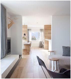 Le bois est omniprésent dans le style scandinave, à commencer par la structure de la maison elle même, les formes sont simples et les teintes claires, les meubles recherchent l’ergonomie, les fonctionnalités et le coté pratique. Les tapis moelleux sont de couleurs franches Le style est sobre, naturel, épuré, chaleureux, les couleurs de prédilection sont le vert, le rose, le jaune, le bleu, le blanc, le gris et le beige. Les matières naturelles sont à l’honneur tel Bois, rotin, cuir, laine, fourrure, coton, acier.