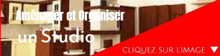 Bannière découverte L'organisation d'un studio