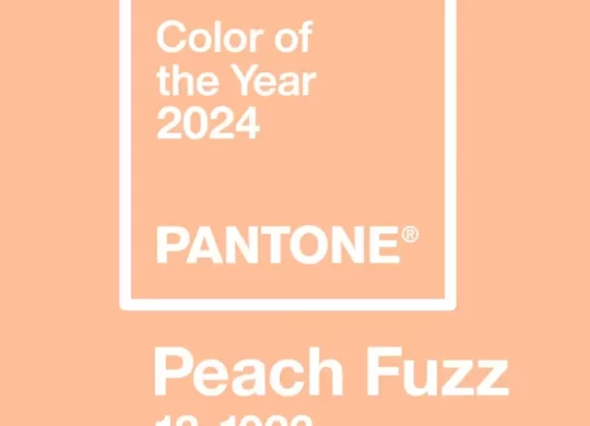 Découvrez la couleur de l'année 2024 élue par Pantone et laissez-vous inspirer !